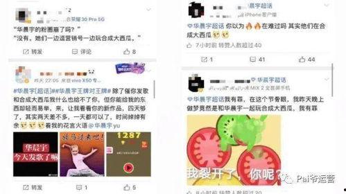 热门大瓜在线,热门大瓜事件全解析