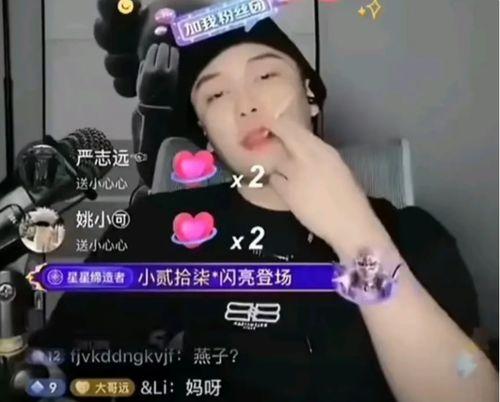 网红黑料是什么意思