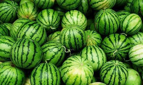 今日吃瓜全集完整版,揭秘娱乐圈幕后真相，带你领略明星们的真实生活