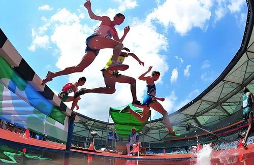 体育圈很乱天涯,乱象背后的真相与反思