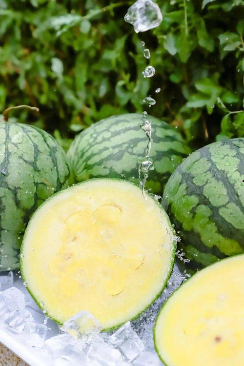 黑料正能量 吃瓜网每日大赛,吃瓜网每日大赛，揭秘娱乐圈幕后真相