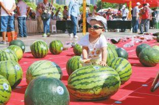 黑料正能量 吃瓜网每日大赛,吃瓜网每日大赛，揭秘娱乐圈幕后真相